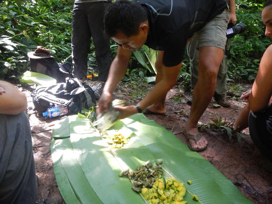 Unser Mittagessen beim Trekking! Alles schoen auf den Bananenblaetter zurechtgelegt, yammi !!!
(L.Nth)