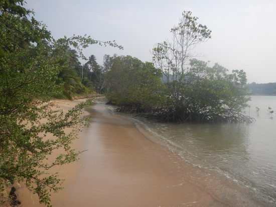 Man findet immer wieder versteckte Straende, auch auf crowdy Koh Phangan!!