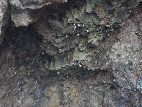 In der Hoehle ist "Fledermausland" (K. B.)