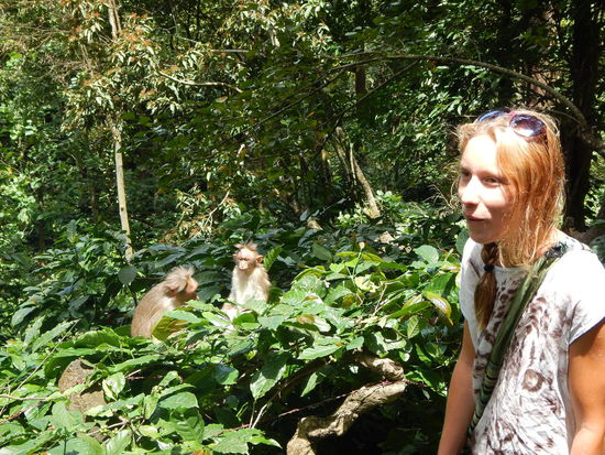 Bei den Hoehlen waren die Affen die Attraktion  
...aber die Ernakkal- caves waren natuerlich auch schoen (Wayanad)