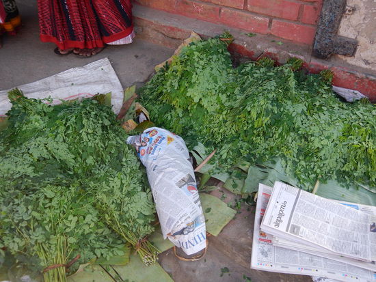Was ist das?? (Wayanad)