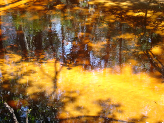 Haeufig findet man diese Farbe des Wassers in der Chapada Diamantina. Es ist dennoch reinstes Trinkwasser.