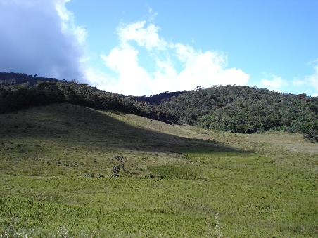 Nationalpark "Horton Plains" bei Nuwara Eliya