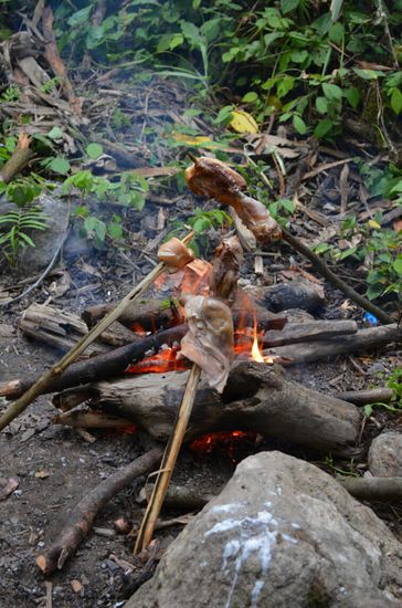 Eigentlich gab es an Fleisch nur Fisch, gefangen direkt im Fluss neben dem Lager. Da wir beide aber keine Fischesser sind, hat Johan ein Hähnchen besorgt, das mir vorzüglich mundete.