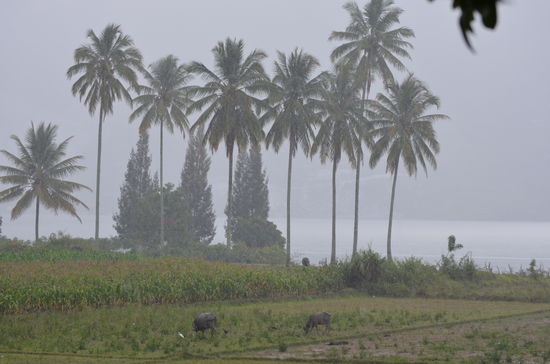 So trist sieht es aus bei Regen.