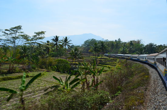 Der Zug auf seinem langen Weg Richtung Yogyakarta.