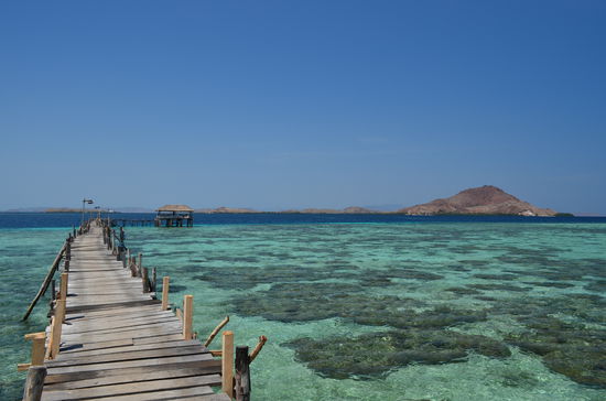 Ein absolutes Schnorchelparadies.