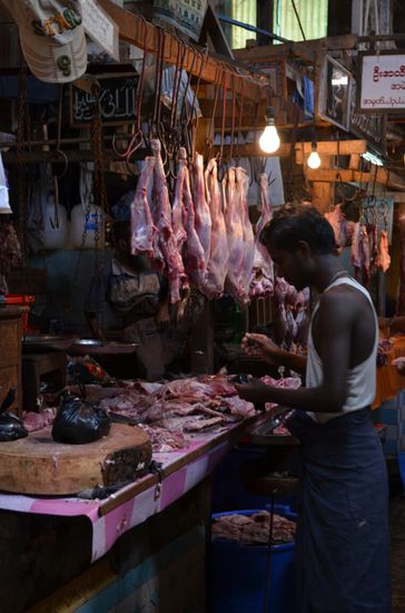 Unglaublich, was man alles so verwerten kann...weggeworfen wird hier nix !