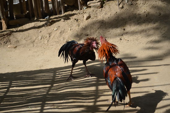 Ablenkung vom Alltag.