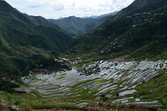 Die wirklich sehr schönen, als Amphitheater angelegten Reisterrassen mit dem Ort Batad mittendrin.