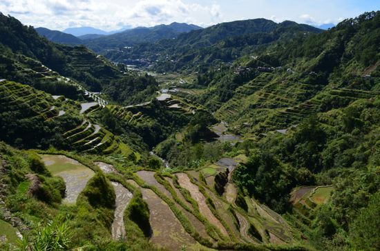 Schon bei Einfahrt ins Tal von Banaue sieht man diese wunderbaren Terrassen.