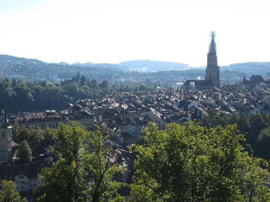 Der Blick vom Rosengarten auf die Altstadt