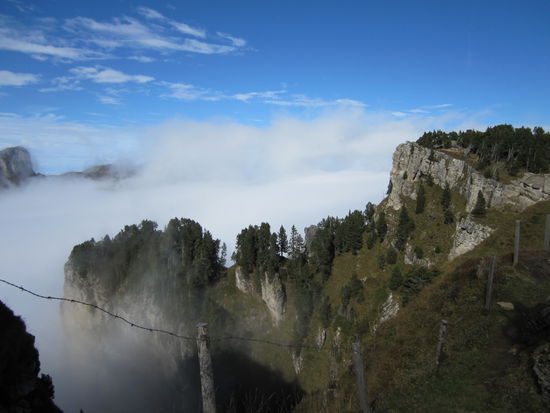 oben angekommen, schöööön 