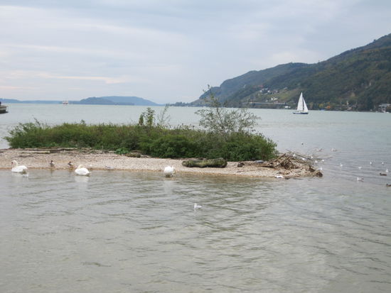 Bieler See