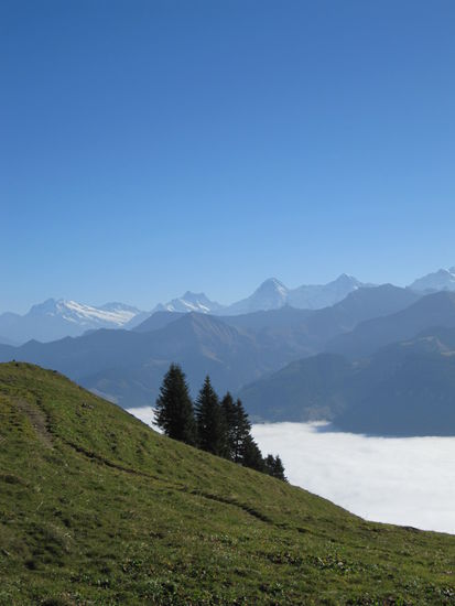 auf dem Weg nach oben