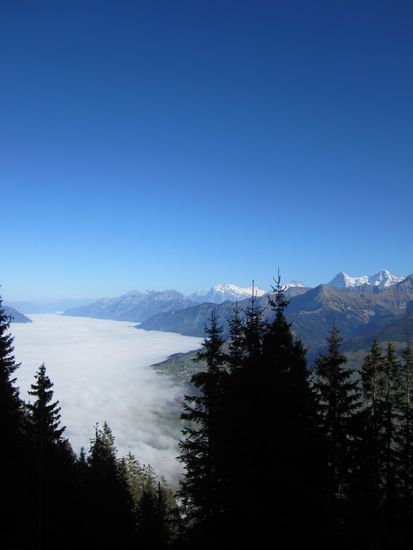 und wieder runter