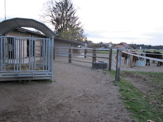 Das ist mal ein Pferdeleben, da bleiben keine Wünsche offen, ob für Pferdebesitzer, Pferde oder Halter. So eine Anlage kann man sich nur wünschen und sie sind in Deutschland noch vieeeeel zu selten zu sehen, hier in der Schweiz ist es naja fast Standard!!!