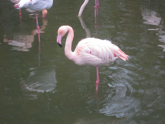 Im Tierpark
