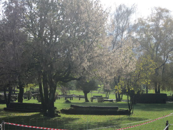 hier noch ein Bild vom Reitgarten des NPZBern (Nationale Pferdezentrum in Bern), dort werden auch noch echte Armeepferde ausgebildet, es ist eine alte aber schöne Anlage mit, wie man hier sieht einer tollen VS-Strecke und das alles mitten in der Stadt !!!