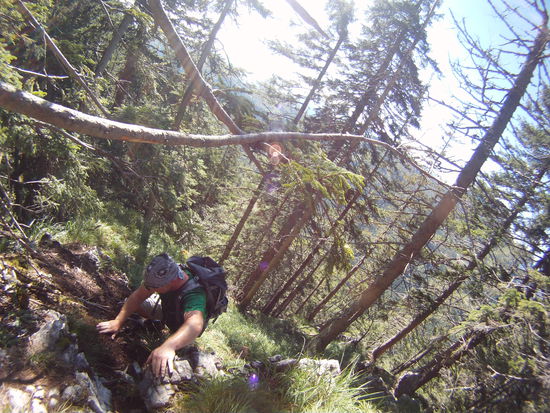 Aufstieg Katzenstein ... sehr steil