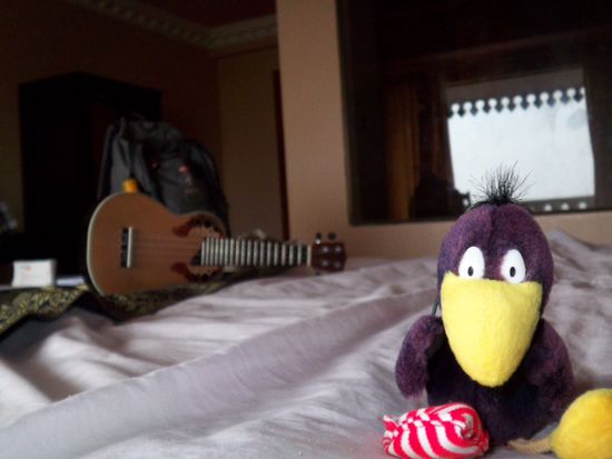 im Zimmer mit Mum's Maskottchen .... und ukulele