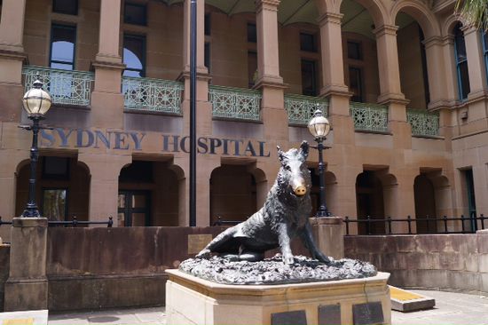 Italian Hospital in Sydney ... Die Wildsau vorm Krankenhaus musste ich knipsen ... find ich immer viel interessanter als die "normalen Sehenswuerdigkeiten" ... wenn man eine Geldmuenze in den Brunnen wirft faengt die Sau zu sabbern an ... lustig
