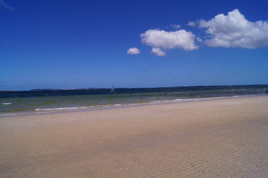 Botany Beach ... im Hintergrund ein Windsurfer ...
