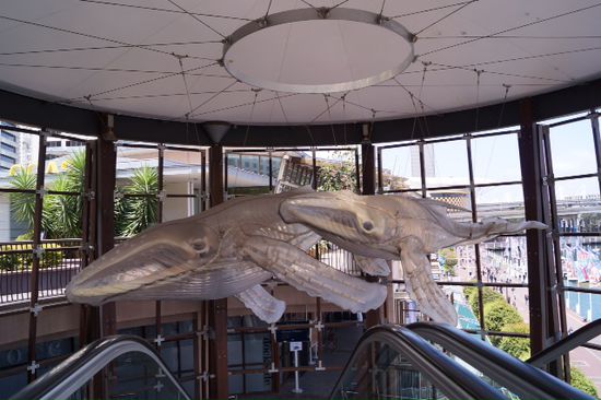 Abgang Richtung Sealife