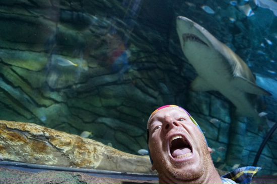 ich glaub hier war ich deas erste Mal ernsthaft in Gefahr .... Sealife Sydney