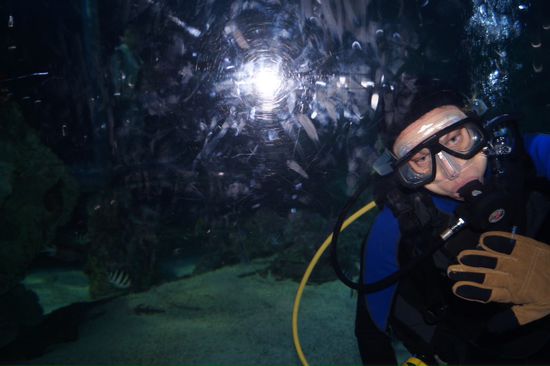es gibt hier total eigenartige Fische ... musste ich knipsen .... Fischi war glaub ich nicht so begeistert
