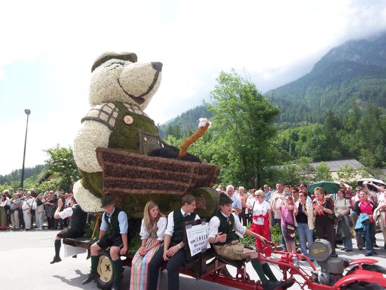 Narzissenfest in Bad Aussee. Tolle Figuren aus Blumen gesteckt die eigentlich als Unkraut gelten.