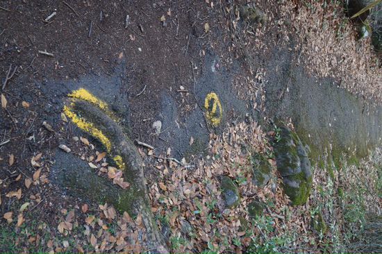 Stolperfallen am Weg werden gelb markiert