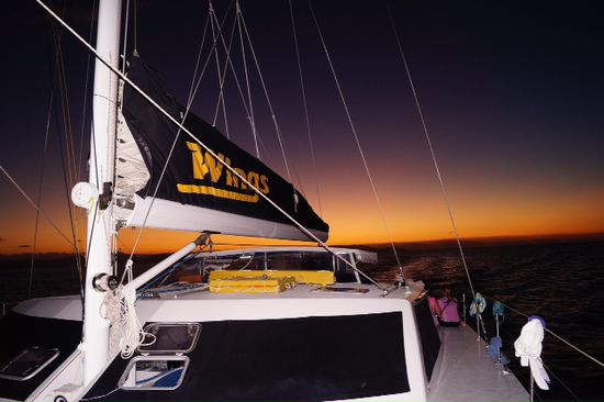Unser Segelboot ... Die Wings 2