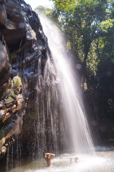 Der erste der Millaa falls ... Hier konnte man sogar hinter den Wasserfall schwimmen.