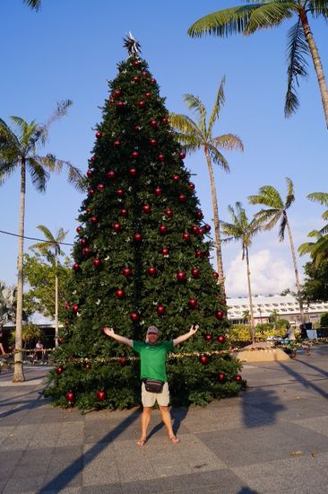 Abschied am Weihnachtsbaum in Cairns.