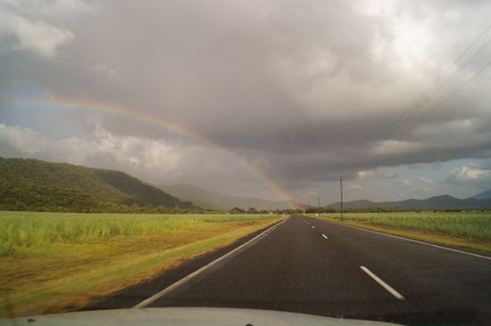 Regenbogen am weg nach Cape tribulation.
Hoffentlich geht der weg bis ich da bin. Sonst knall ich direkt in ihn rein.