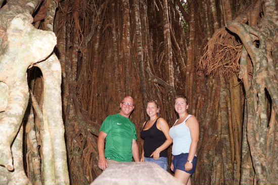Cathedral FiG tree ... Igge , lea und Christine.