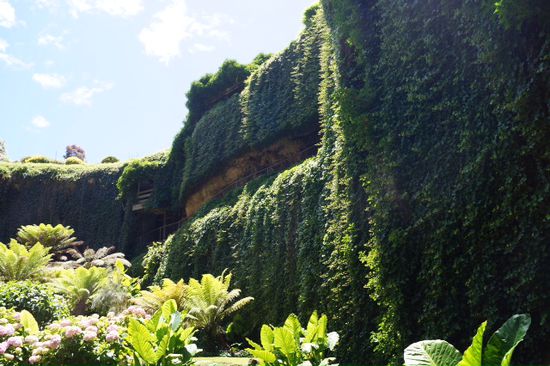 Sinkhole in MT Gambier .... Sehr beeindruckend .... Limestones wurden vom Wasser unterspült und ist dann irgendwann mal eingebrochen. Und die Gambieraner haben was daraus gemacht.
Eine Freude für alle Hobbygärtner.