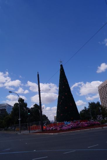Weihnachtsbaum in Adelaide.
Das war's dann auch.