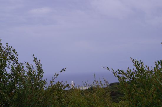 Hier sieht man im Hintergrund auch noch den Leuchtturm weswegen ich eigentlich auf der Koala - Road fuhr.