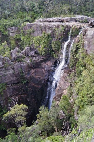 Carrington Fall