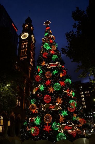 Weihnachtsbaum in der George Street. ... Sehr schön. In der Richtung könnten wir uns hier richtig was abschauen.