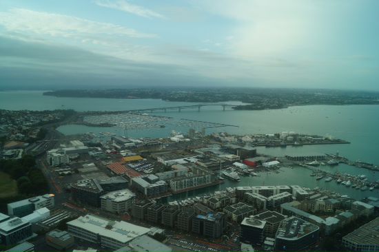 Ausblick von oben richtung harbor Bridge.
Jaaaa .... Sowas gibts hier auch.
Auckland wird auch das " Sydney von Neuseeland " genannt.
Ist aber sonst viel hässlicher als das Original.