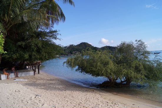Strand in der Buddha Bay Koh Tao