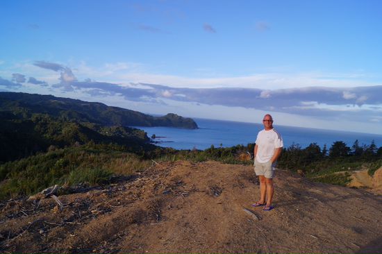 Küste auf der Coromandel Halbinsel