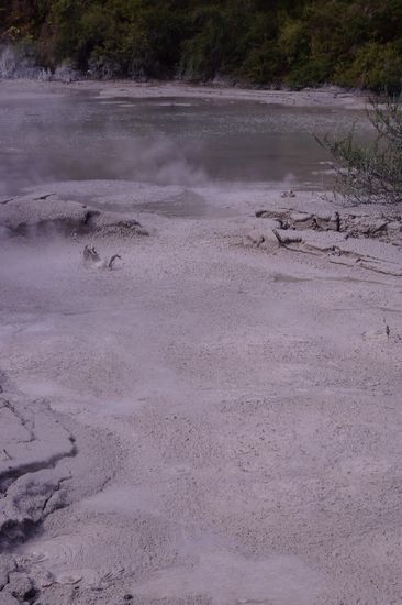 Mud Pool