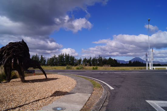 Kiwi vorm YHA in National Park ... Dahinter gehts zum Tongariro Crossing
