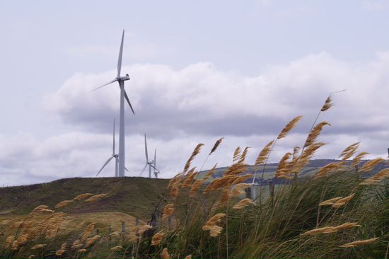 Windkraftwerk
Sowas wie Kernkraft gibts in Neuseeland nicht.
Sind absolute Atomgegner. Sehr fein.