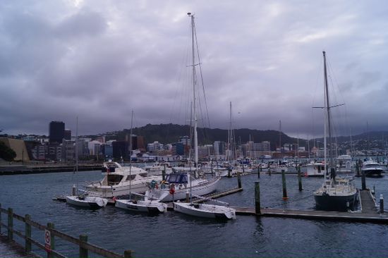 Hafen Wellington