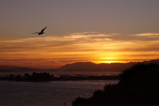 Sunset Otago halbinsel